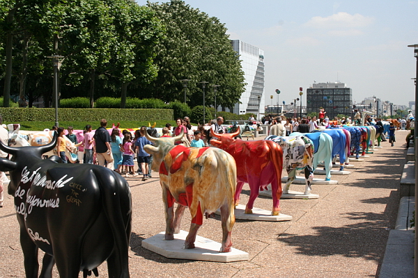 Image_2006-06-23-031.JPG