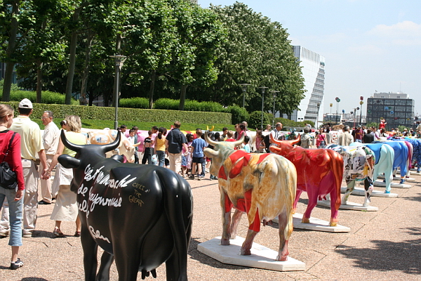 Image_2006-06-23-032.JPG