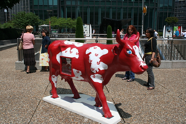 Image_2006-06-23-075.JPG