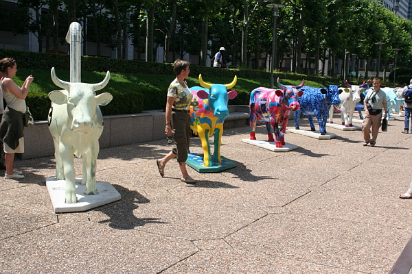 Image_2006-06-23-094.JPG
