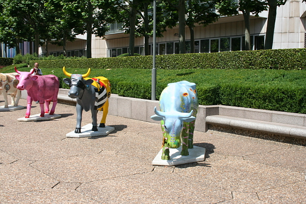 Image_2006-06-23-098.JPG