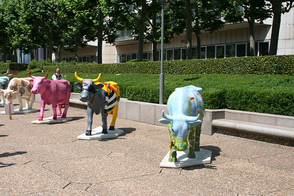 Image_2006-06-23-099.JPG