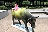Image_2006-06-23-042.JPG