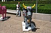 Image_2006-06-23-100.JPG