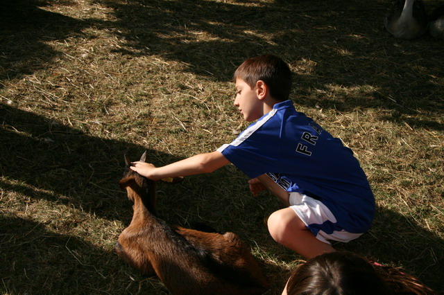 2008_06_08__0174.jpg