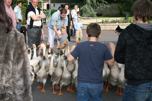 2008_06_08__0207.jpg
