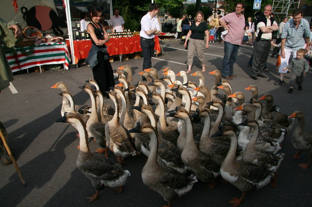 2008_06_08__0208.jpg