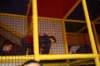 _pg_funkart_127_small.jpg