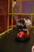 _pg_funkart_156_small.jpg