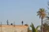_12_22_djerba_0037_small.jpg