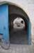 _12_22_djerba_0134_small.jpg