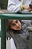 2010_05_01_310.jpg