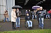 2010_11_21_toulouse-lautrec_0992.JPG