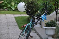 2011_05_14__0017.JPG