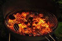 2011_05_14__0583.JPG