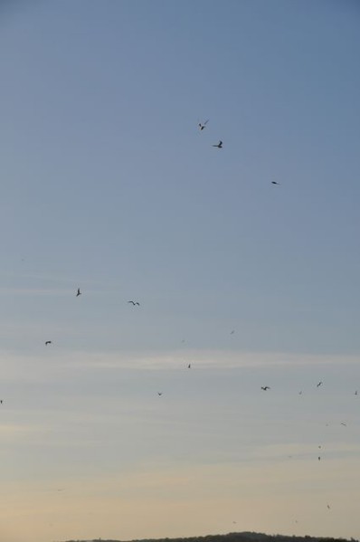2012_09_30__bia_III_baptemes_0785.JPG