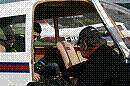 2013-10-20--IMG_4488-baby-razzi.JPG 2013-10-20--IMG_4488-baby-razzi.JPG