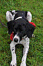 2013-10-20-dta-04--0164-mama-razzi.JPG 2013-10-20-dta-04--0164-mama-razzi.JPG
