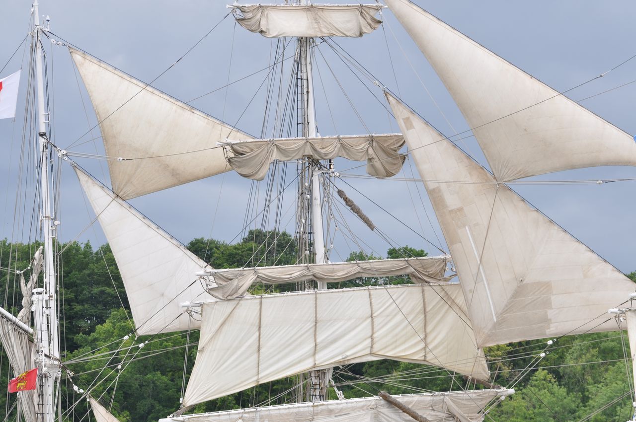 2019-06-16-(15h55)-armada-(mama-razzi)-0291.jpg