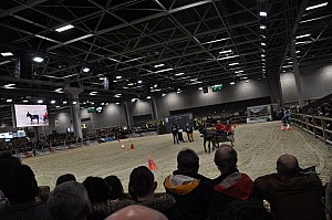 2020-02-27-15h54mn07s-f4,5-1_80_eme-0198-ISO-400-(mama-razzi).jpg 2020-02-27-15h54mn07s-f4,5-1_80_eme-0198-ISO-400-(mama-razzi).jpg