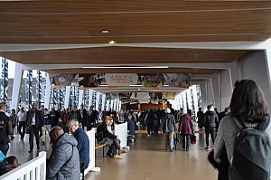 2020-02-27-17h05mn24s-f4,2-1_60_eme-0404-ISO-400-(mama-razzi).jpg 2020-02-27-17h05mn24s-f4,2-1_60_eme-0404-ISO-400-(mama-razzi).jpg