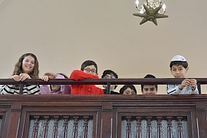 05-2023-03-12-(11h25m)-dsc_0054-mama-razzi.jpg 05-2023-03-12-(11h25m)-dsc_0054-mama-razzi.jpg