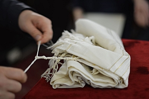 06-2023-03-12-(12h03m)-dsc_0126-mama-razzi.jpg 06-2023-03-12-(12h03m)-dsc_0126-mama-razzi.jpg