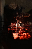2026-04-18-DSC_5428-(mama-razzi).JPG